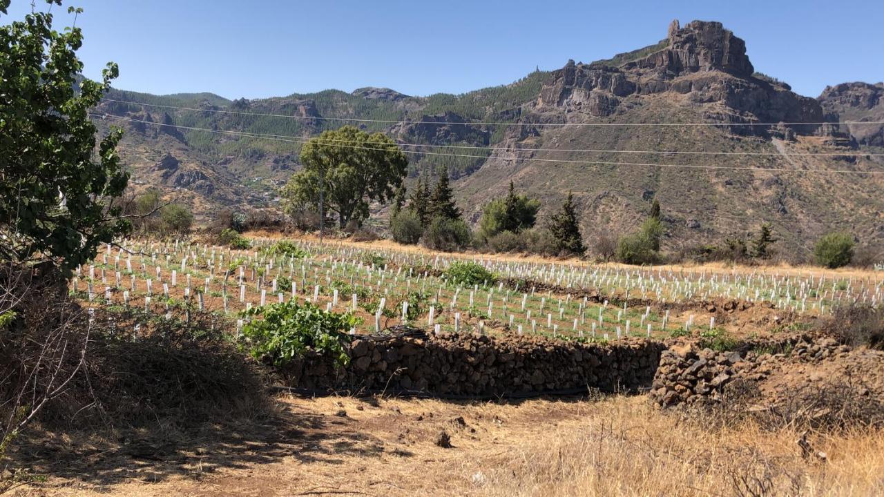 ラスパルマス・デ・グランカナリア Casa-Finca El Maipez De Tejedaヴィラ エクステリア 写真