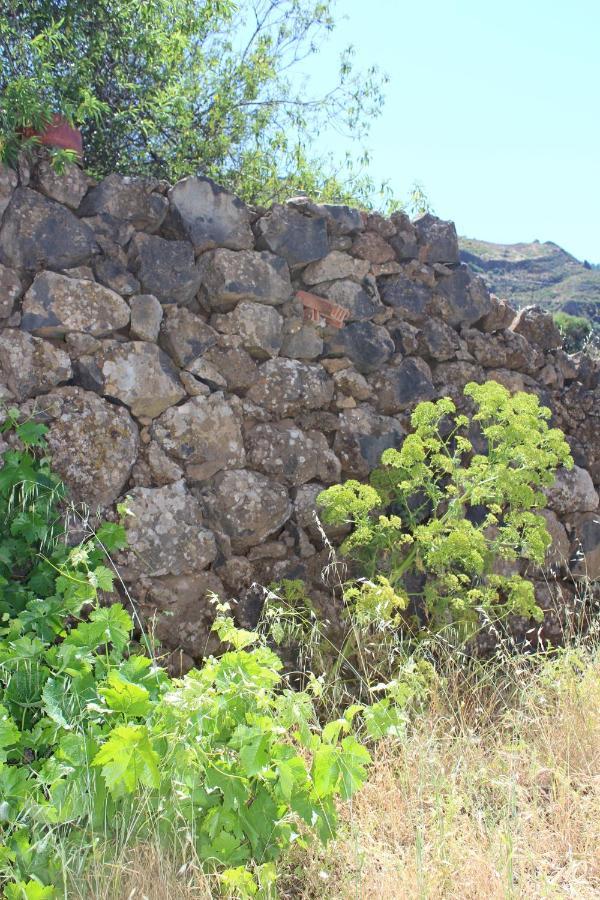 ラスパルマス・デ・グランカナリア Casa-Finca El Maipez De Tejedaヴィラ エクステリア 写真