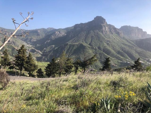 ラスパルマス・デ・グランカナリア Casa-Finca El Maipez De Tejedaヴィラ エクステリア 写真