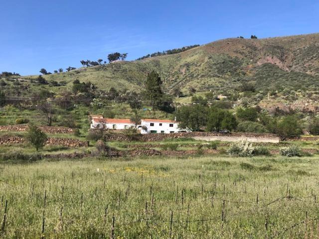 ラスパルマス・デ・グランカナリア Casa-Finca El Maipez De Tejedaヴィラ エクステリア 写真