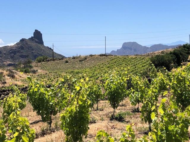 Casa-Finca El Maipez De Tejeda ラスパルマス・デ・グランカナリア エクステリア 写真