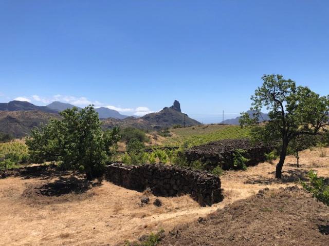 ラスパルマス・デ・グランカナリア Casa-Finca El Maipez De Tejedaヴィラ エクステリア 写真