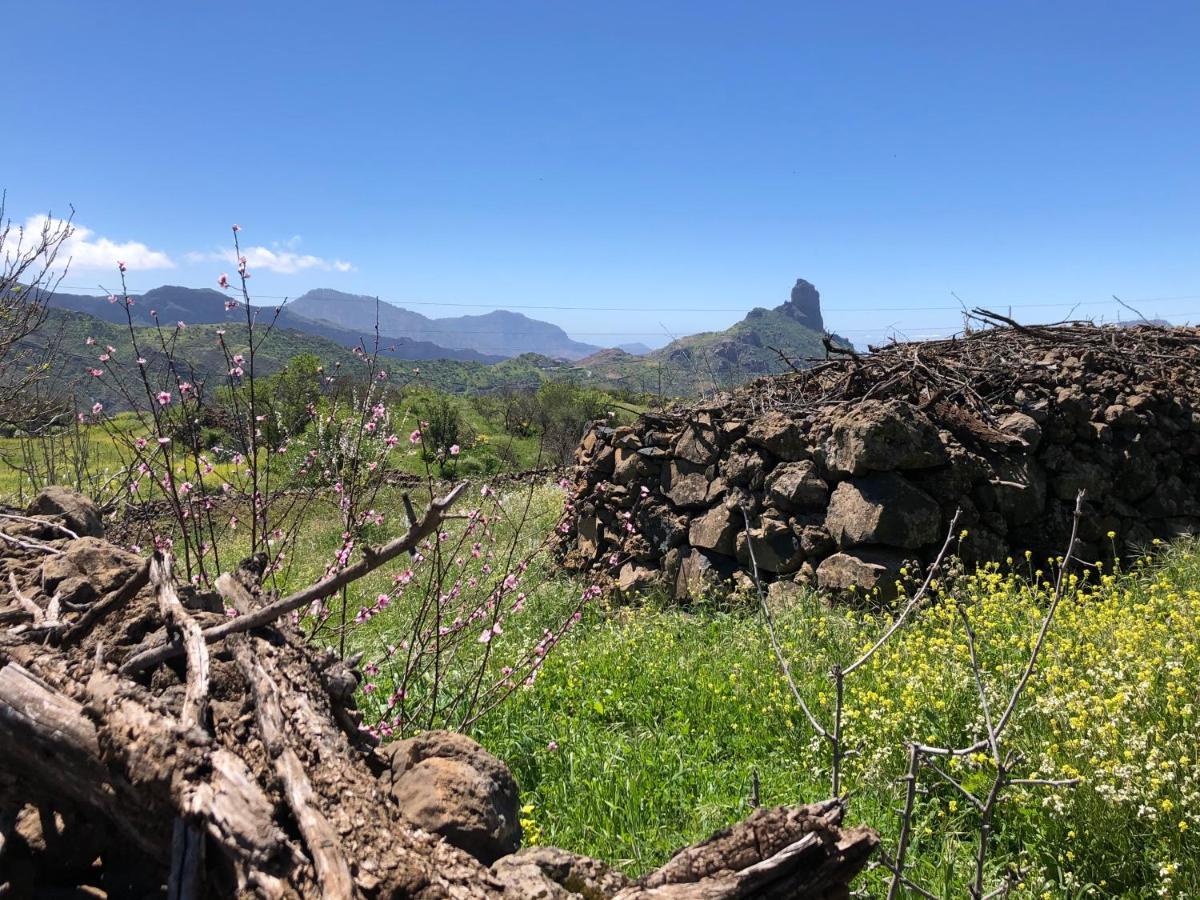 ラスパルマス・デ・グランカナリア Casa-Finca El Maipez De Tejedaヴィラ エクステリア 写真