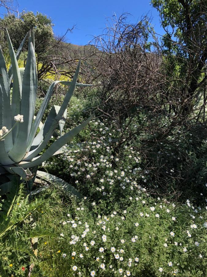 ラスパルマス・デ・グランカナリア Casa-Finca El Maipez De Tejedaヴィラ エクステリア 写真