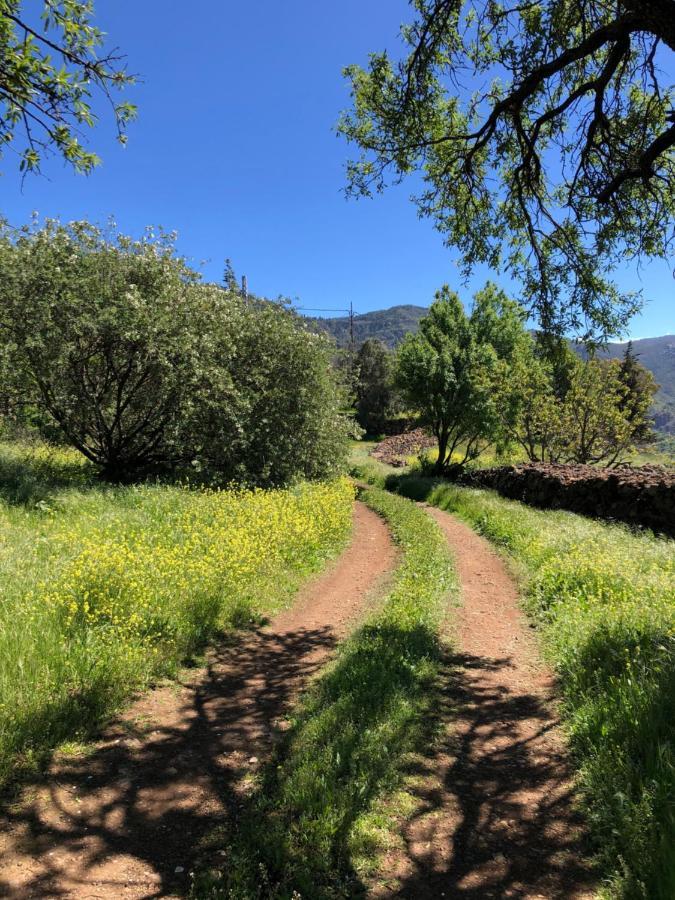 Casa-Finca El Maipez De Tejeda ラスパルマス・デ・グランカナリア エクステリア 写真